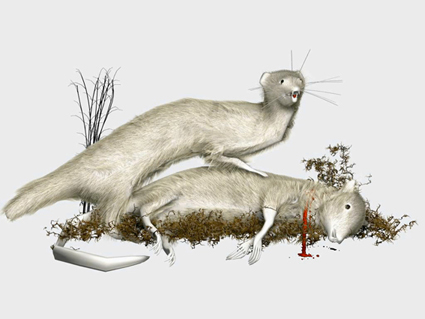 attraction of the opposites